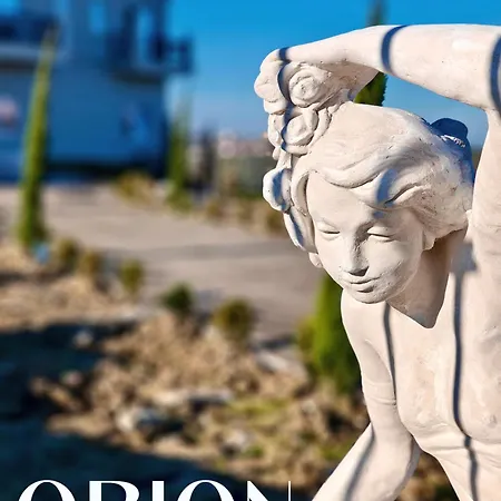 Orion Palace Boutique ホテル *